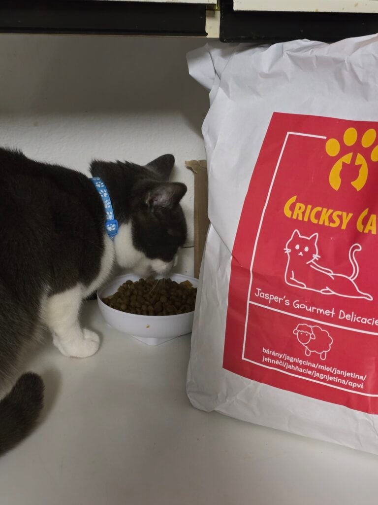 Image #3 from Ika Capová