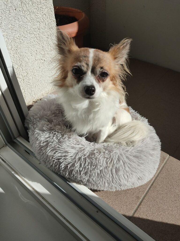 Obrázok #1 z Danica Mikušová