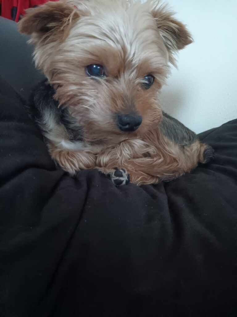 Obrázok #1 z Sofie H.