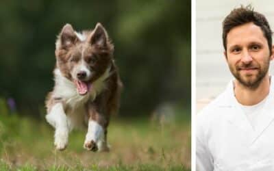 Môj päťročný border kolie, Alex, v poslednej dobe pije veľa vody. Obávam sa, že by mohol mať zdravotný problém. Čo by si odporučil v tejto situácii?