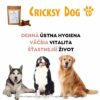 Čarovná zubná tyčinka Denty „maxi“ (pre stredne veľkých a veľkých psov) - Image 7