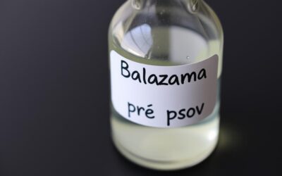 Balzam na srsť pre psov – Všetko, čo musíš vedieť!