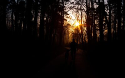 Blog 24 Večerné túry so psom – Všetko, čo o tom musíš vedieť!