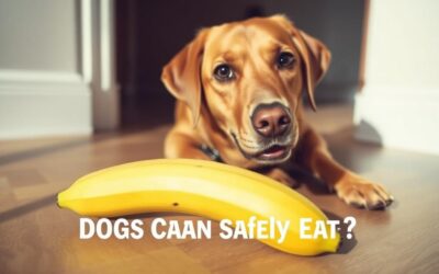 Môže môj pes jesť banán? – Všetko, čo o tom musíš vedieť!