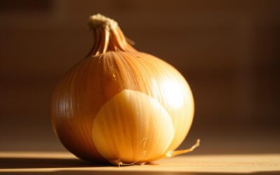 Môže môj pes jesť cibuľu? – Všetko, čo o tom musíš vedieť!