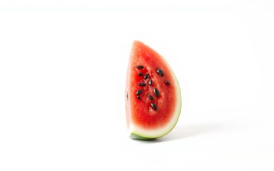 Môže môj pes jesť melón? – Všetko, čo o tom musíš vedieť!