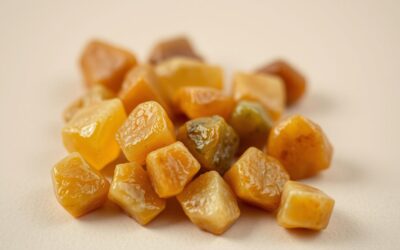 Žlčové kamene u psa – Všetko, čo o tom musíš vedieť!