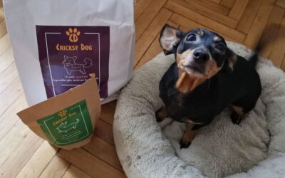 CricksyDog krmivo pri dennom kŕmení – po 1 mesiaci