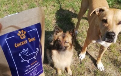 Juliet krmivo a nižšie veterinárne náklady – skúsenosť