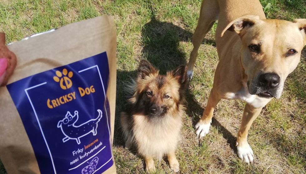 Juliet krmivo a nižšie veterinárne náklady – skúsenosť