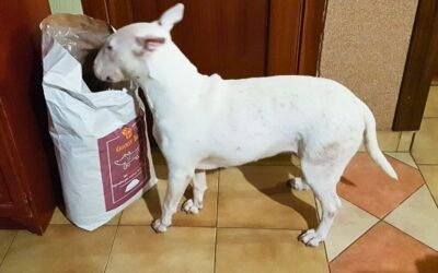Účinok Denty Mini po 1 mesiaci používania – recenzie