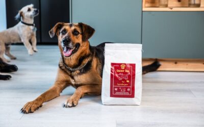 Podľa zákazníkov – ktoré CricksyDog krmivo je najlepšie?