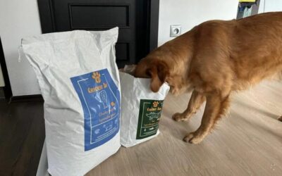 Blog 19 Juliet balenie 1 kg pre malých psov – k dispozícii na objednávku
