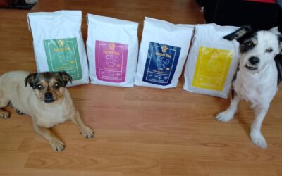 Blog 17 Juliet alebo Ted – ktoré krmivo objednať pre citlivého psa?