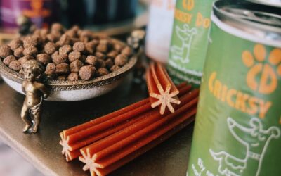 Blog 18 Prečo som sa stal verným zákazníkom CricksyDog?