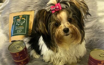 Blog 16 Juliet hipoalergénne krmivo + Twinky lososový olej: super kombinácia