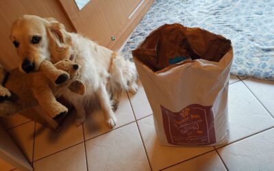 Blog 22 Ted suché krmivo pre psov – recenzie zákazníkov pre veľké plemená