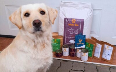 Twinky a Chloé produkty počas dovolenky – na čo si dať pozor?