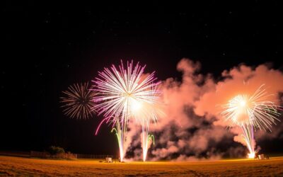 Ohňostroje a psy – upokojujúce tipy na Silvestra