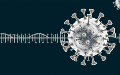 Mačací herpesvírus – Všetko, čo o tom potrebuješ vedieť!