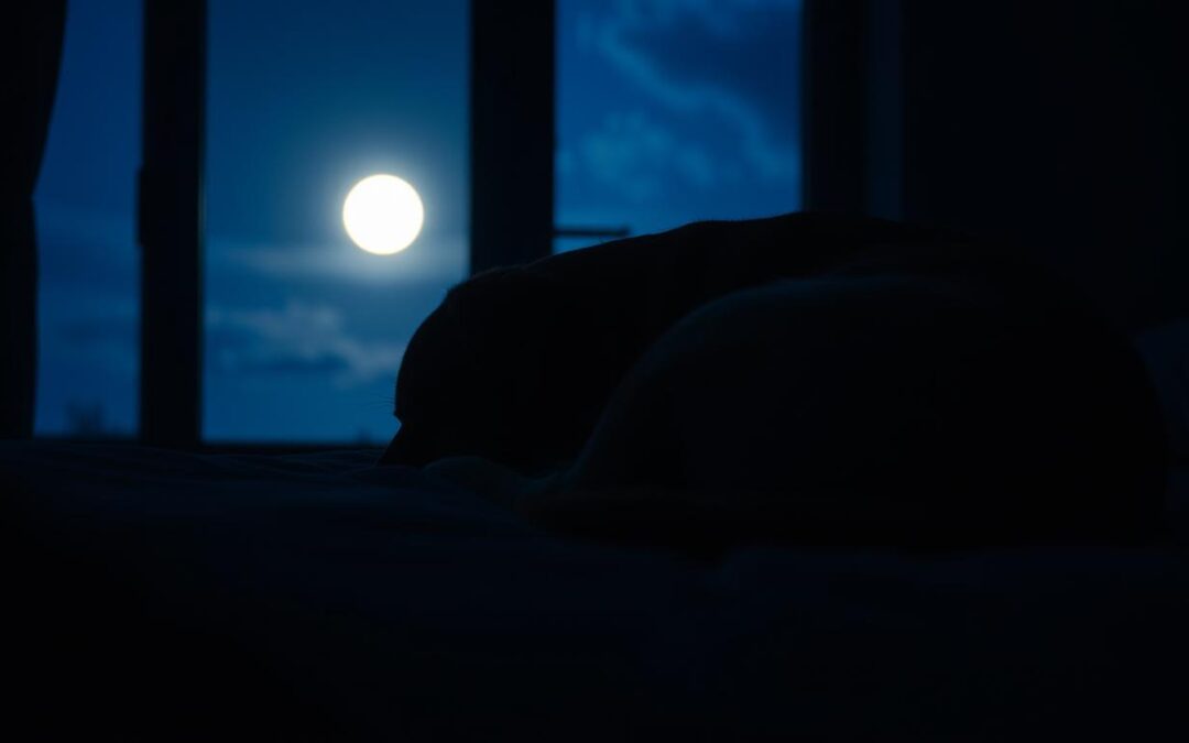 Môj pes je iba v noci – príbeh majiteľa, ktorý nakoniec našiel riešenie