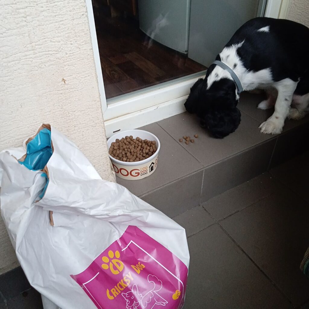 Image #1 from Carmen