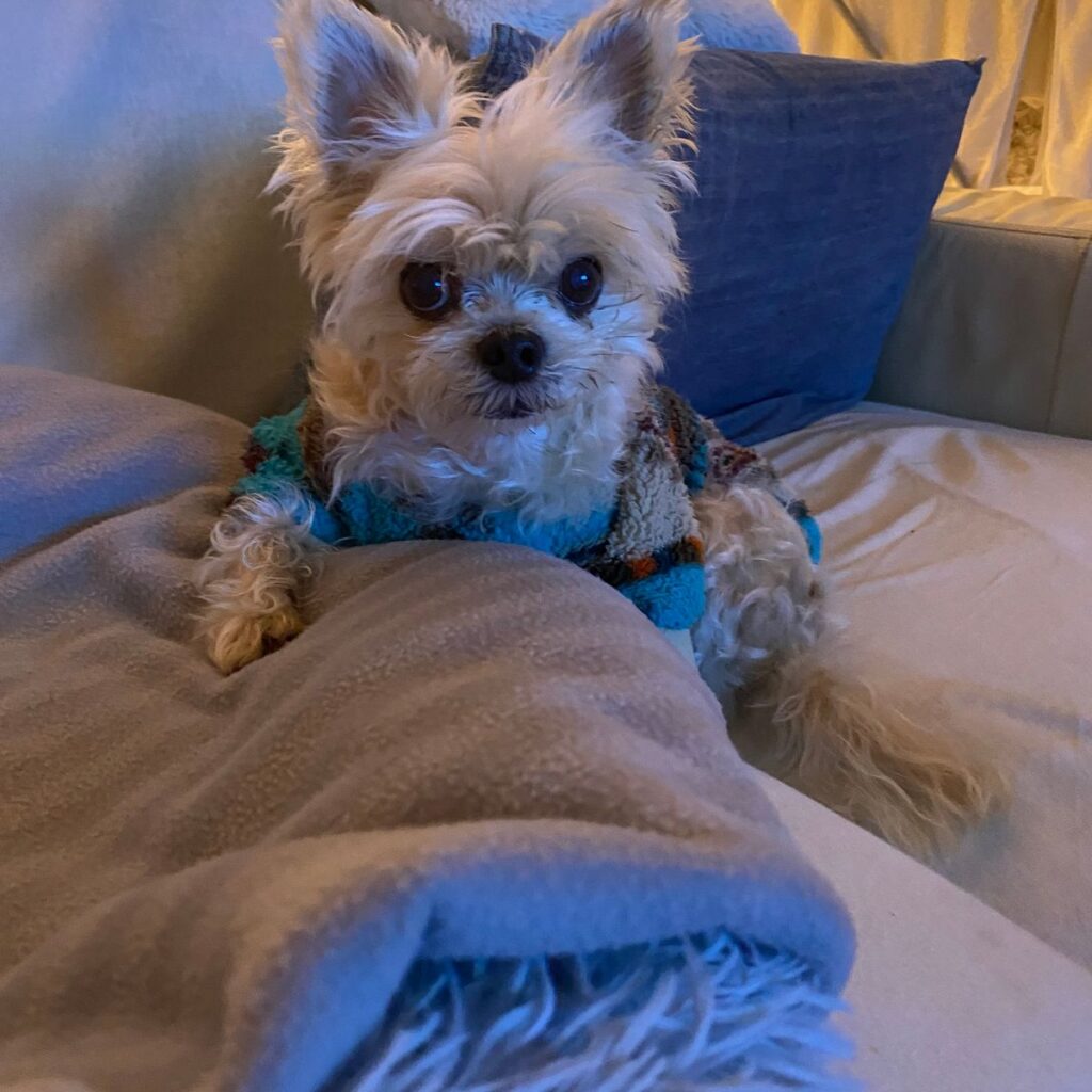 Image #1 from Simoneta Feterikova