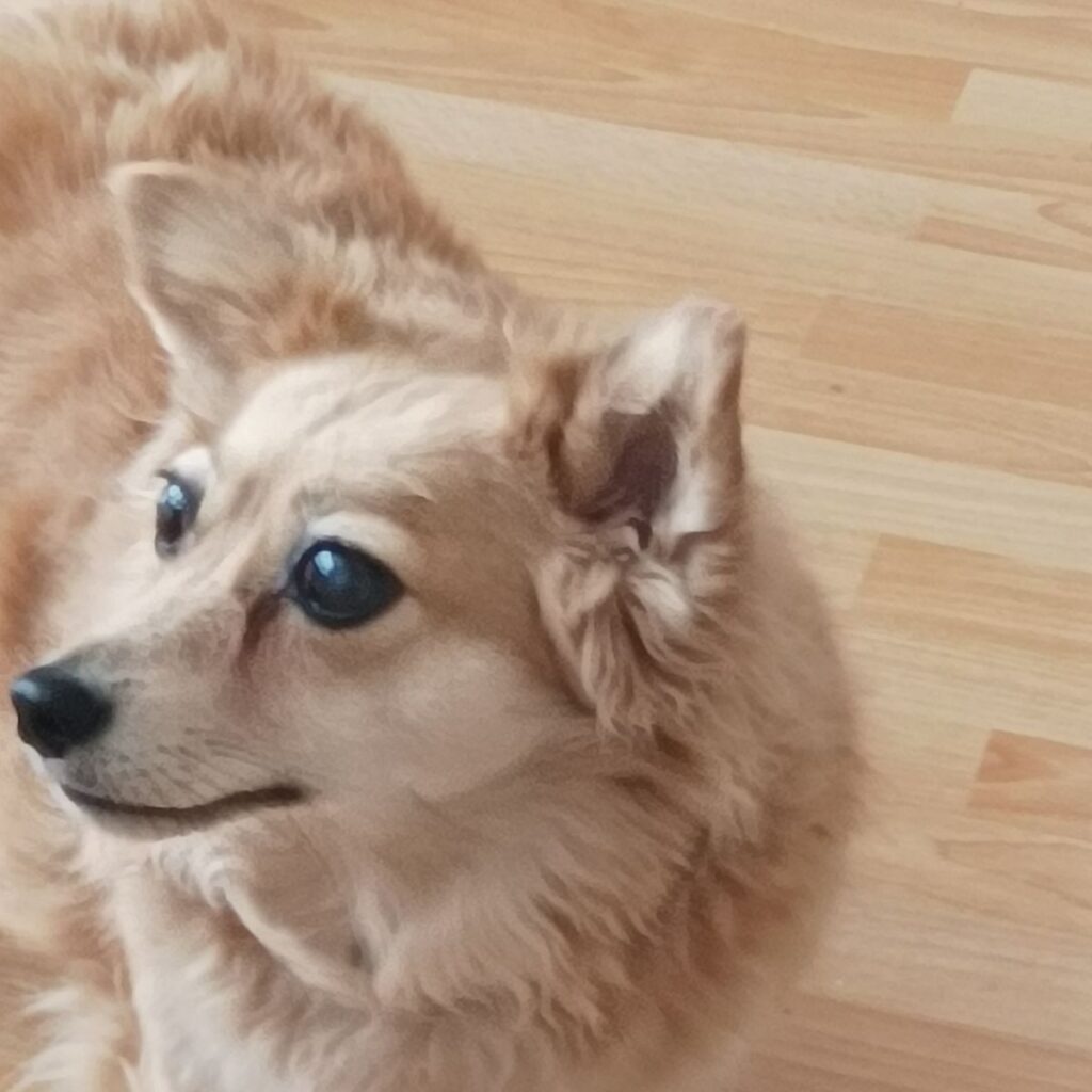 Image #1 from František V.