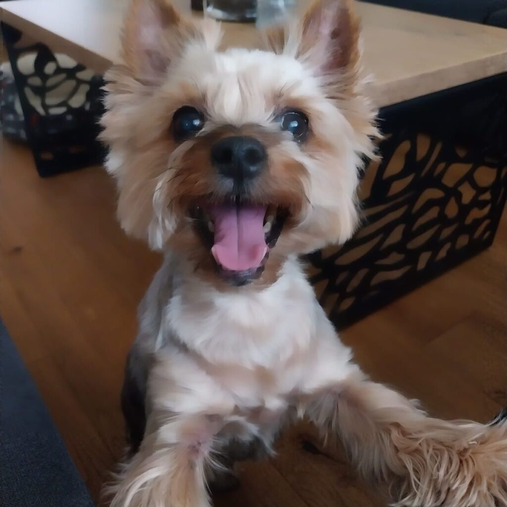 Image #1 from Martina Štefániková