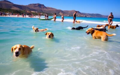 Blog 16 Morské kúpanie psov – Všetko, čo o tom potrebuješ vedieť!