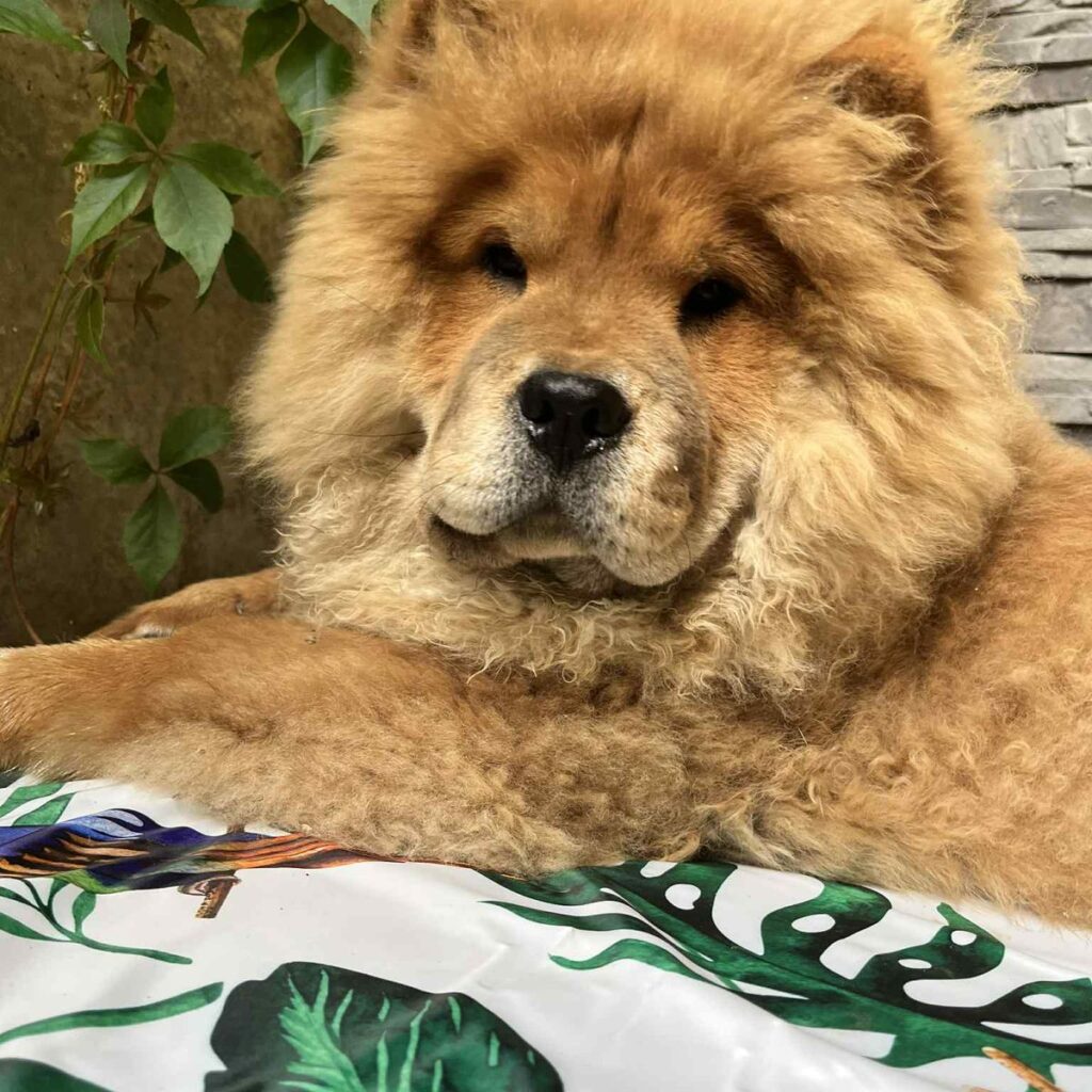 Image #1 from Olga Korbová