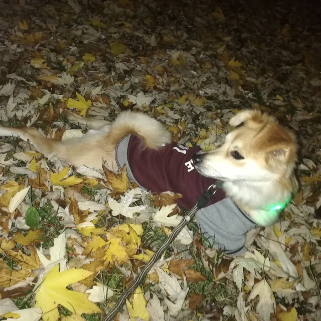 Image #1 from Taňa Martinkovičová