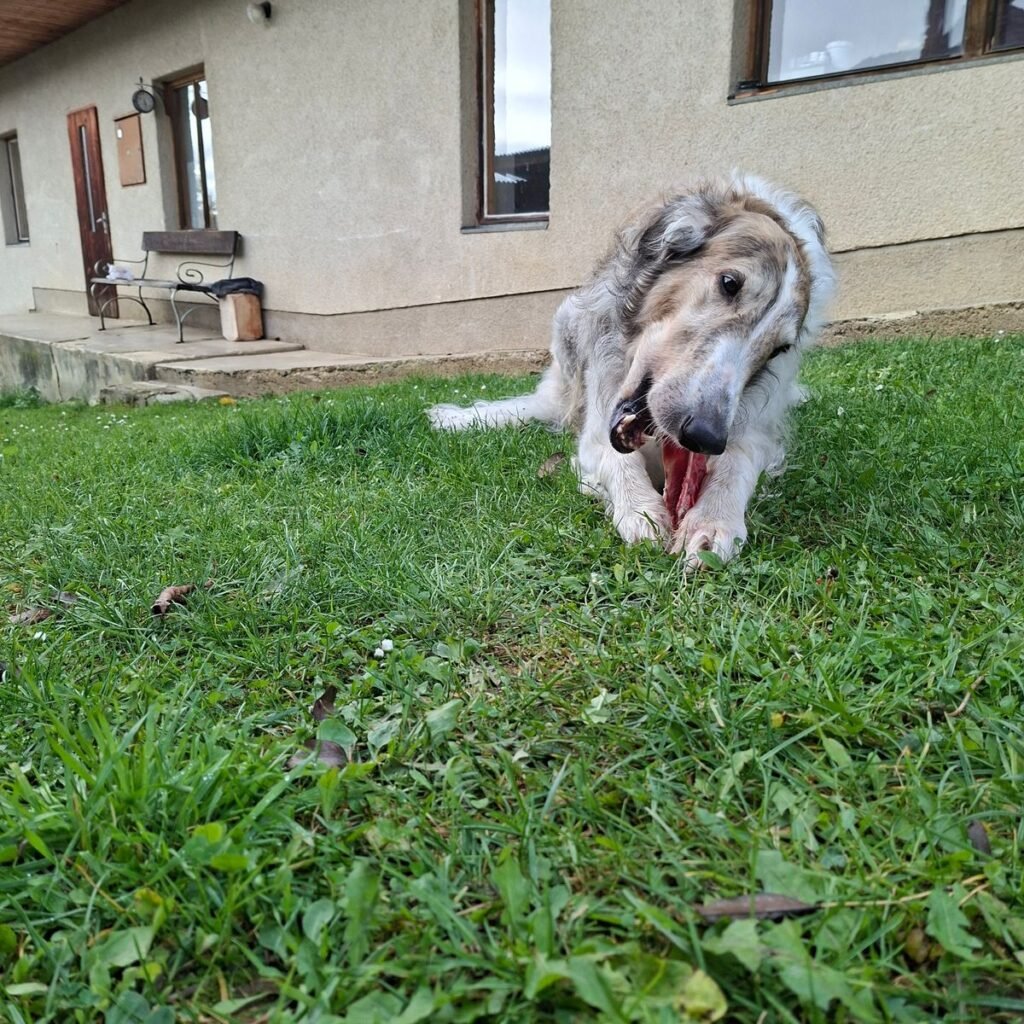 Image #3 from Janette