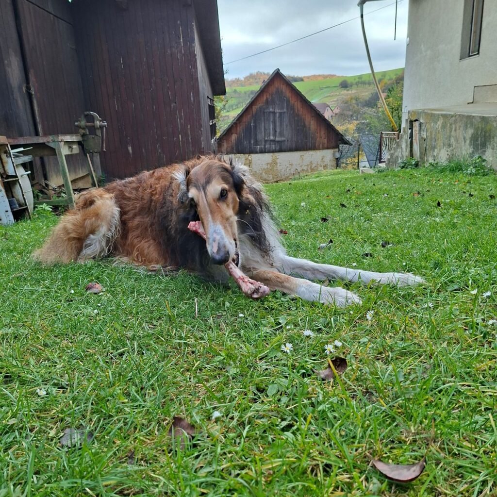 Image #2 from Janette