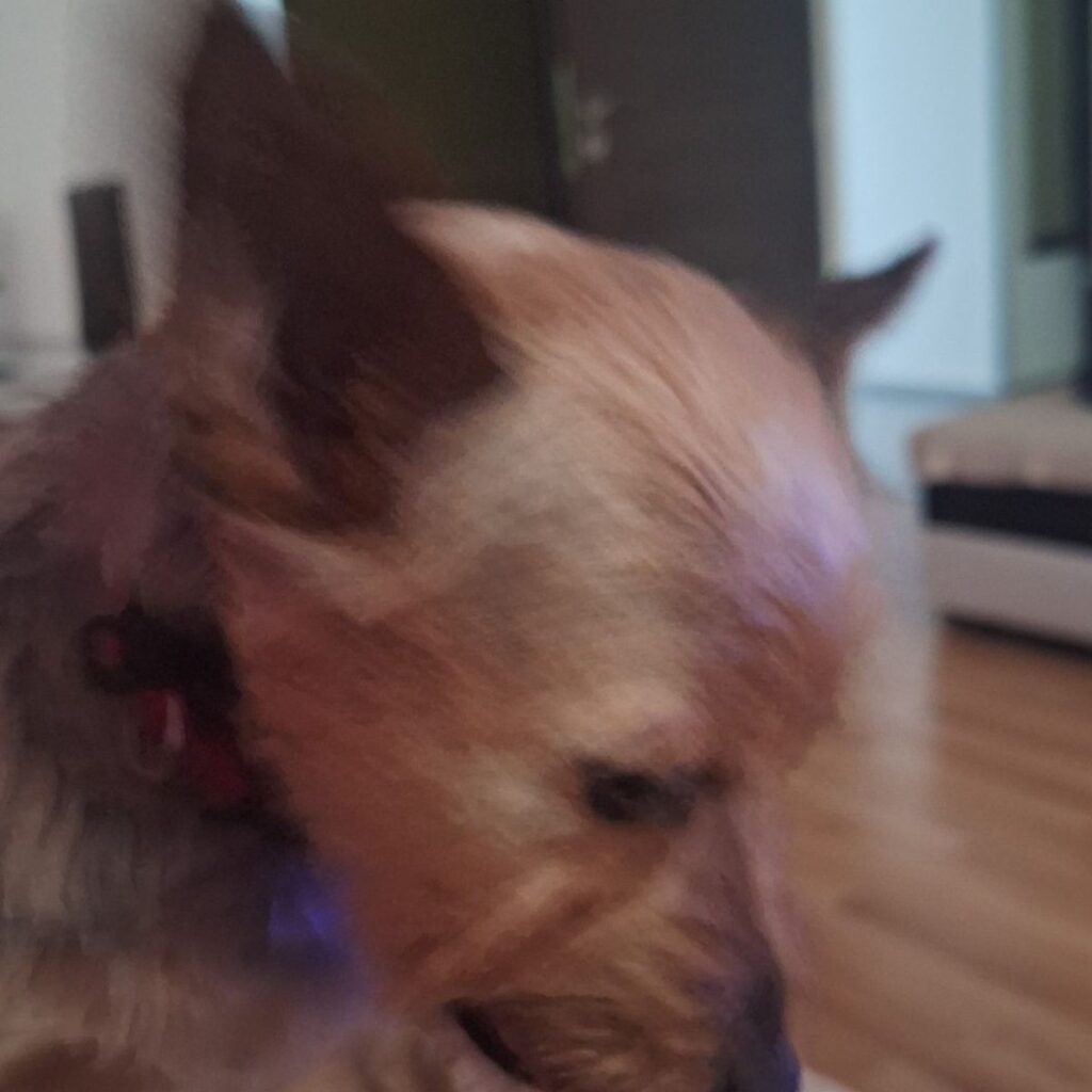 Image #1 from Maria B.