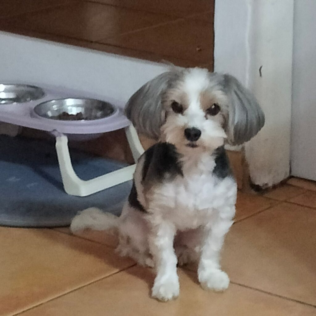 Image #1 from Viera M.