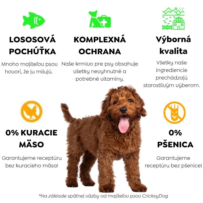 Hypoalergénne mokré krmivo pre psy s lososom Ely (prémiové zloženie bez pšeničného lepku a kuracieho mäsa) – 410 g 4 Hypoalergénne mokré krmivo pre psy s lososom Ely (prémiové zloženie bez pšeničného lepku a kuracieho mäsa) – 410 g – Obrázok 4