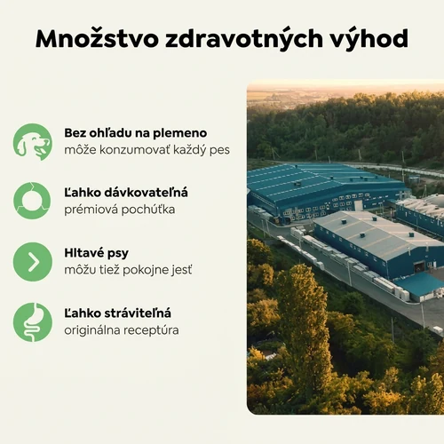 Hypoalergénne sušienky pre psy Friky s hmyzím proteínom – 200 g 3 Hypoalergénne sušienky pre psy Friky s hmyzím proteínom – 200 g – Obrázok 3