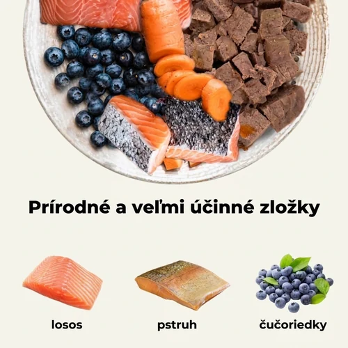 Mokré krmivo pre mačky Bill s lososom a pstruhom – 100 g 2 Mokré krmivo pre mačky Bill s lososom a pstruhom – 100 g – Obrázok 2