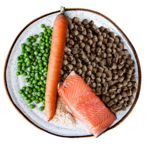 sk 2025 09 CC JHL cat food
