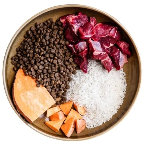 sk 2025 09 CHM dog food