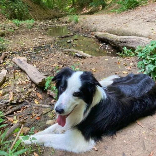 sk 2025 09 EHM 2