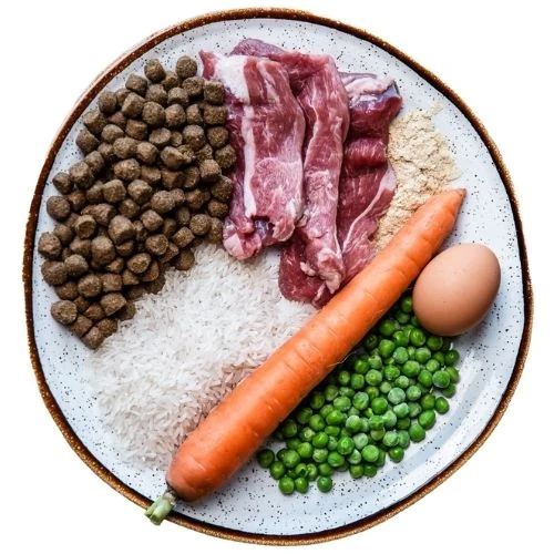 sk 2025 09 JHB dog food