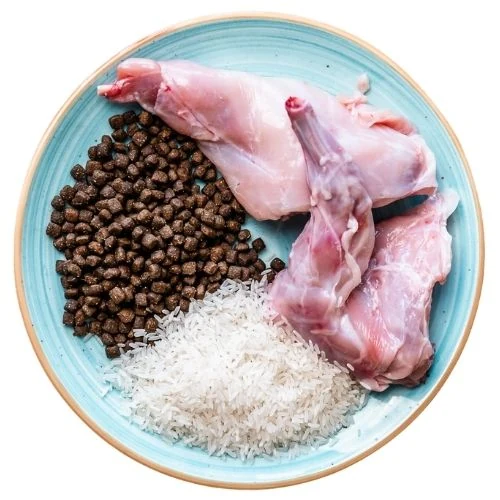 sk 2025 09 JHNY dog food