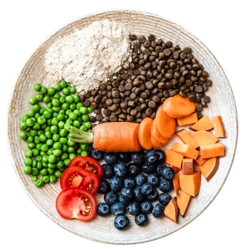 sk 2025 09 JHR dog food
