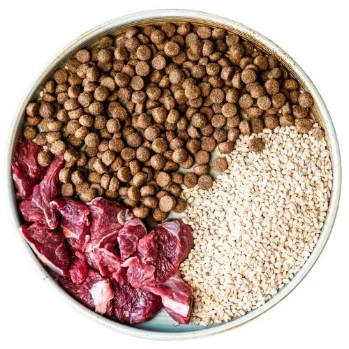 sk 2025 09 JM dog food