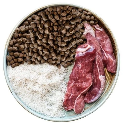 sk 2025 09 OB dog food
