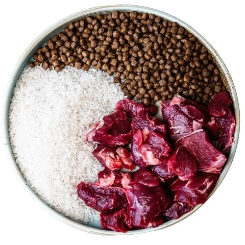 sk 2025 09 OHM dog food