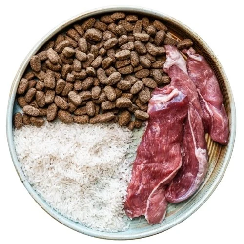 sk 2025 09 TB dog food