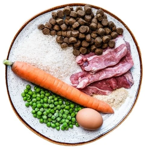 sk 2025 09 THB dog food